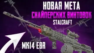 НОВАЯ МЕТА ИЗ БАРТЕРА? ОБЗОР НА MK14 EBR STALCRAFT