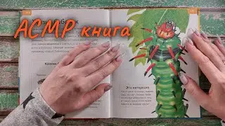 АСМР чтение для сна. Насекомые. Близкий шепот, трейсинг • ASMR книга шепотом