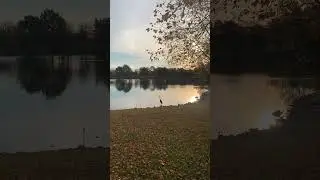 🍁🍂 #nature