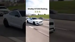 Shelby GT350 Rolling! 🏎️
