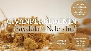 MODERN AKTAR CİVANPERÇEMİ | FAYDALARI NELERDİR? Adet dönemi, Rahim kanseri, Hepatit B...
