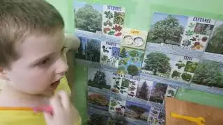 Деревья 13.06.2021