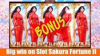 Big win on Video Slot Sakura Fortune II. New slot from developer Quickspin