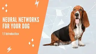 Neural Networks For Your Dog - 1.1 Introduction