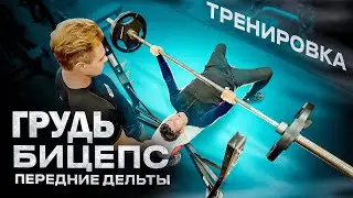 ТРЕНИРОВКА ГРУДИ /Дневник Тренировок