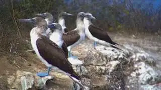Parque Nacional Machalilla - Manabì - Ecuador
