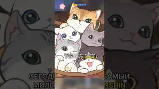 МЯУДИССЕЯ ЗАМКА КОТИКОВ GENSHIN IMPACT 4.5 