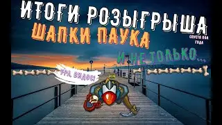 ИТОГИ РОЗЫГРЫША: ШАПКА ПАУКА и не только! ДИНАСТ ИО | DYNAST.IO