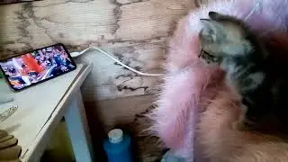 Клёпа смотрит Парад Победы