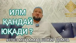 ИЛМ ҚАНДАЙ ЮҚАДИ