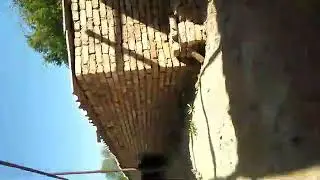 Turkmen prikol basyrn 2020