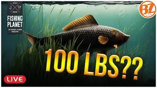 BACK ON THE HUNT... the 100lb CARP!! l Weeping Willows, Fishing planet [LIVE]