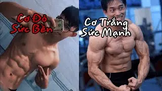 Sự Khác Nhau Giữa Sức Mạnh Và Sức Bền | TMT Workout