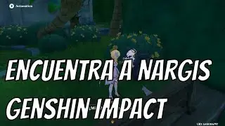 Find Nargis 2.0 - Sumeru - Genshin Impact