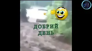 ПРИКОЛЫ 2020 ЛУЧШЫЕ ДО СЛЕЗ // BLACK CAT // УГАР СМЕХ ЮМОР И РЖАКА // ЗАСМАЙСЯ ЧЕЛЕНЖ