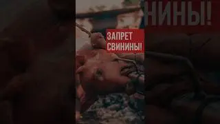 Почему в Исламе нельзя есть свинину? 