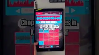 🐨Chopping samples in Koala Sampler 