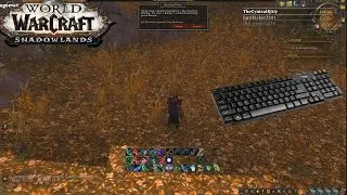 HOW TO USE KEY-BINDS AND CUSTOM ACTION BARS - WoW Addon (Dominos 2020)