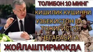 ТЕЗКОР ХАБАР ТОЛИБОН УЗБЕКИСТОН ЧЕГАРАСИГА 10 МИНГ КИШИЛИК КУШИННИ ЖОЙЛАШТИРМОКДА