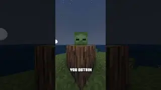 Are you a Minecraft NERD?