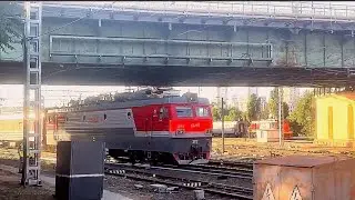 Электровоз ЭП1 344 с пассажирским поездом.