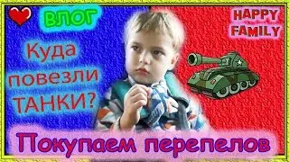 В Новороссийск по делам итоги инкубации перепелов Купили перепелов На отправки Покупки в Ленте