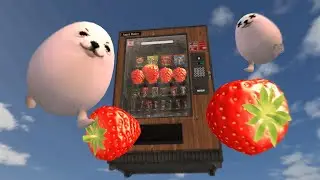 eggdog vending machine