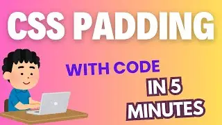 What is CSS Padding Explain With Code Example in Detail | CSS Tutorial For Beginners