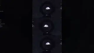 #exbo