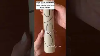 Развивающая игра-лабиринт из втулки от бумажных полотенец