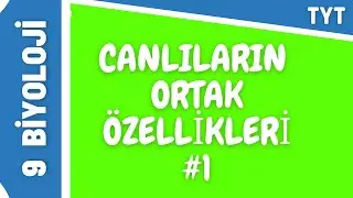 CANLILARIN ORTAK ÖZELLİKLERİ 1 | TYT BİYOLOJİ  | +PDF ✅