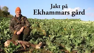 Jaktresan: Jakt på Ekhammars gård