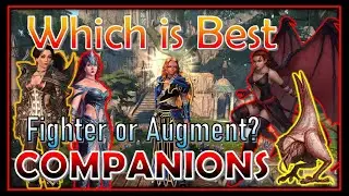 Fighter or Augment, which BEST for DPS max Damage?? Companion Balancing - Neverwinter Mod 20