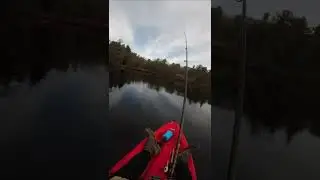 great lure for spring Bass (pre-spawn)