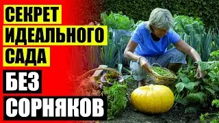 🤘 БИОГАРД КУПИТЬ В МОСКВЕ ЛЕРУА МЕРЛЕН 👌 ГЕРБИЦИДЫ САРАНСК ЧЕБОКСАРЫ