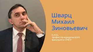 Шварц М.З. Реплика о юридическом знании и погружении в специализацию