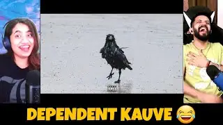 EMIWAY BANTAI - DEPENDENT KAUVE | Reaction | The Tenth Staar