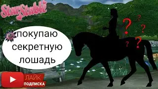 Покупаю секретную лошадь в Star Stable | Игра про лошадей