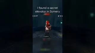I found a secret elevator in Sumeru 