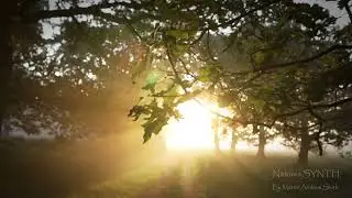 Free download - Natures Synth | VST Plugin | Amazing Soundscapes