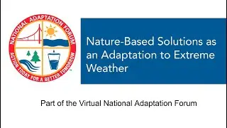 Nature-Based Solutions as an Adaptation Strategy to Extreme Weather