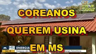 COREANOS visitam MS para propor INVESTIMENTO em USINAS SOLAR 