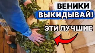 ТОП 5 ВЕНИКОВ для БАНИ. В чем разница?!