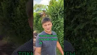 Проиграй ВСЕ! #казино #ставкинаспорт #заработоконлайн #тема #shorts #казиноонлайн #заработок #деньги