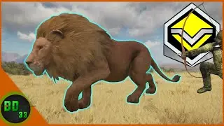 The Biggest Lion I’ve Ever SEEN!! Call Of The Wild