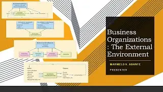 Business Organizations: The External Environment
