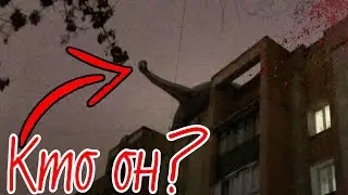 Палочник - существует ли? | Station922mkv 18+