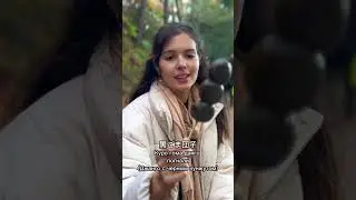Что э￼то? Японские сладости🍡 