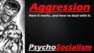 Aggression: A Practical Guide
