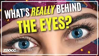What's REALLY Behind Your Eyes? [CLIP]